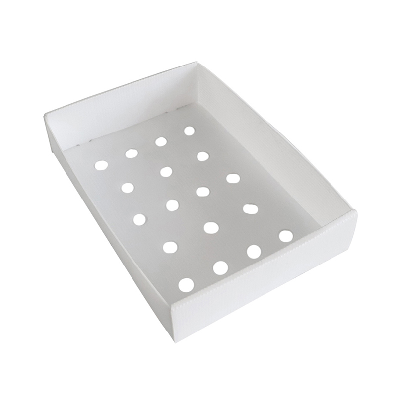 Durable Customized Corrugated Plastic Seafood Boxes