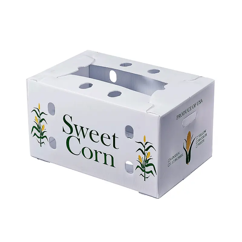 Customized Pattern Packaging Vegatables Corrugated Plastic Boxes