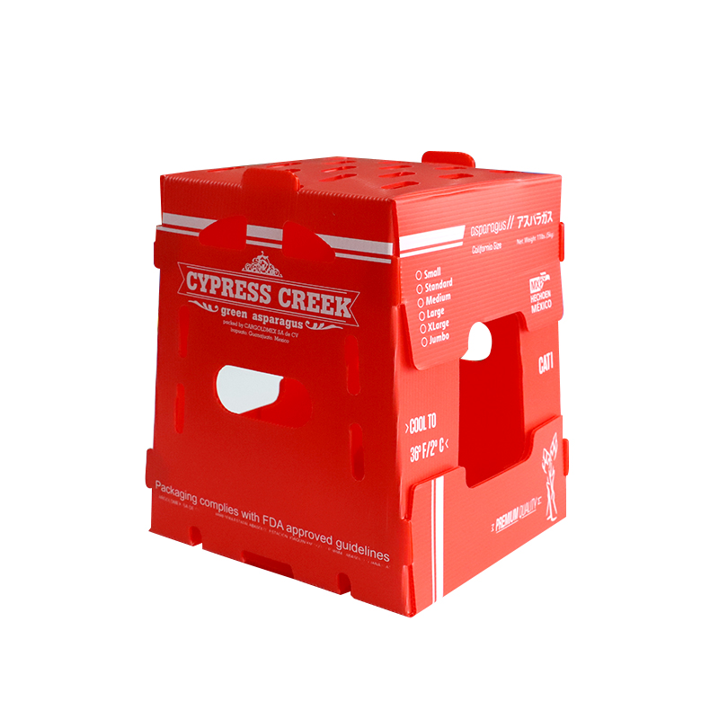 Custom PP Corrugated Boxes
