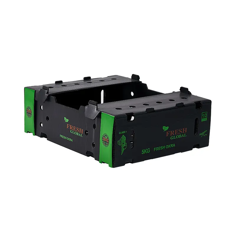 Customized Pattern Packaging Vegatables Corrugated Plastic Boxes