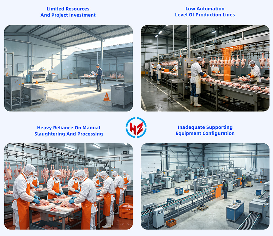 Poultry farm pain points