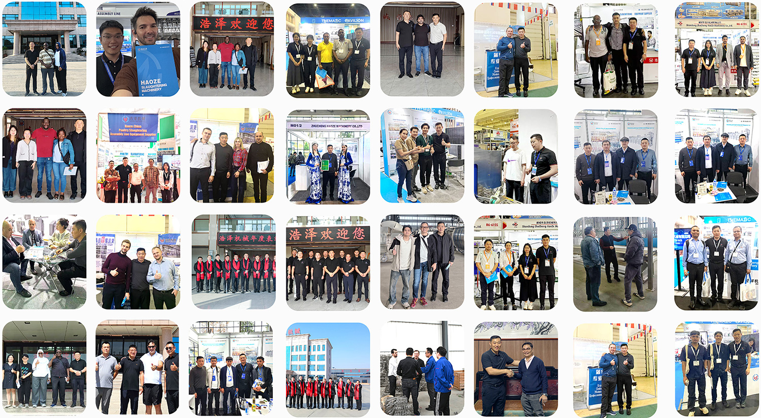 Выставка