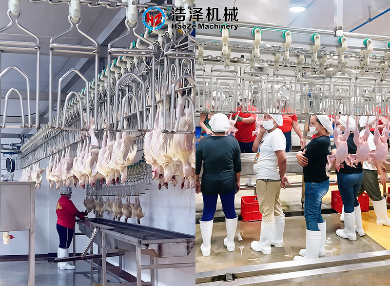 Philippines-3000BPH-Chicken-Slaughter-Project