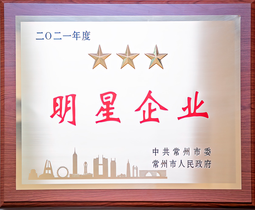 2021明星企业