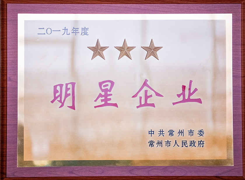 2019年度明星企业