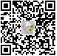 代理记账赠送网站和排名服务(名额有限）
