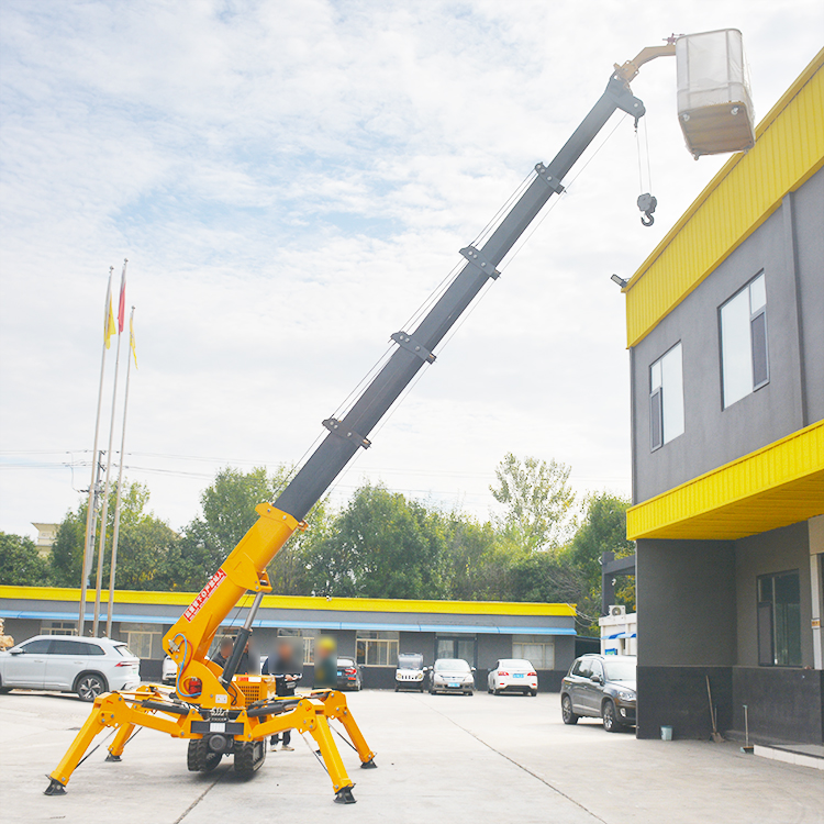 Hydraulic Small Spider Crane