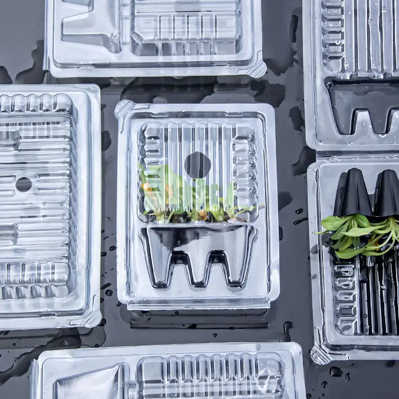 Seedling Blister Packs 
