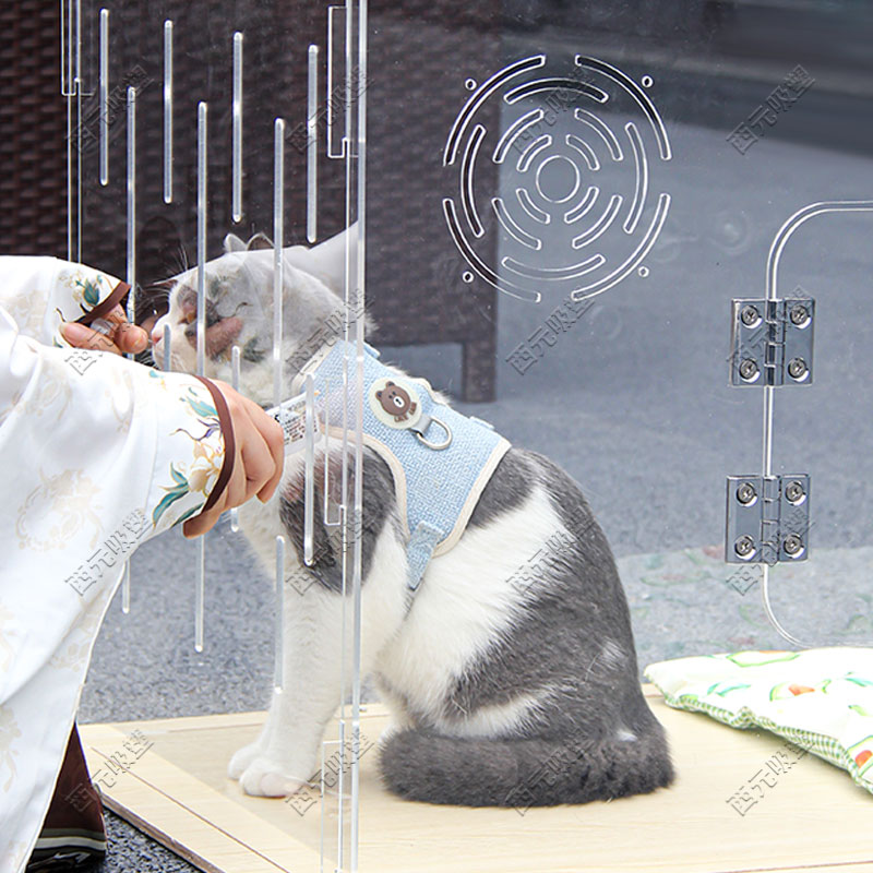 Transparent Acrylic Cat Cage Dog Hamster Cage