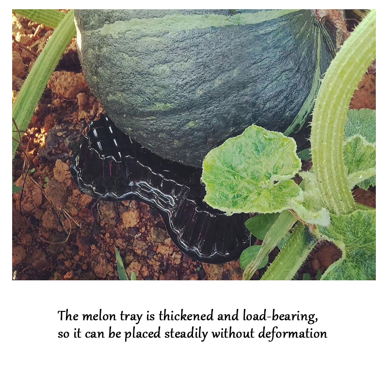 Plastic Melon Holder