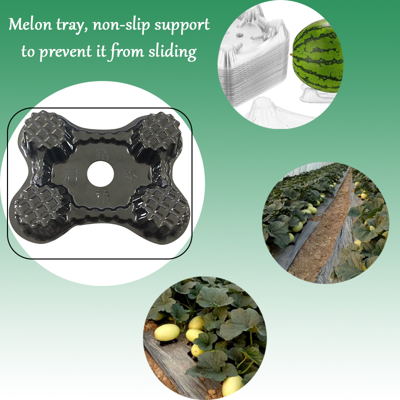 Plastic Melon Holder