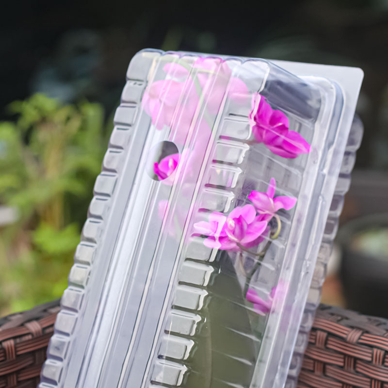 Plant Blister Packs 