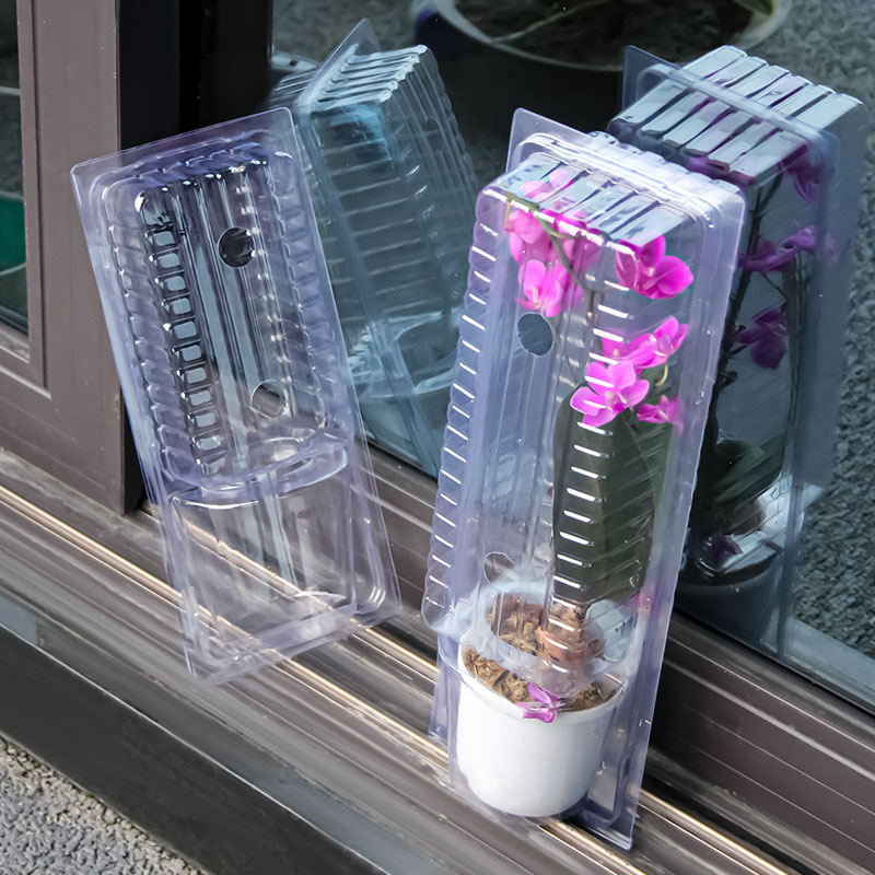 Plant Blister Packs 