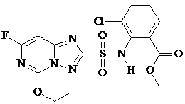 Cloransulam - Methyl TC