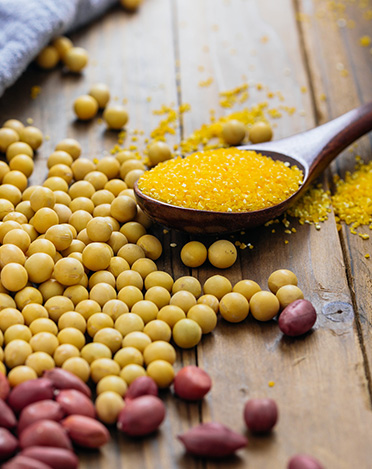Soybean