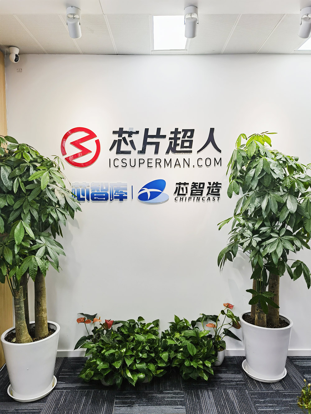 常州元极芯电子科技有限公司