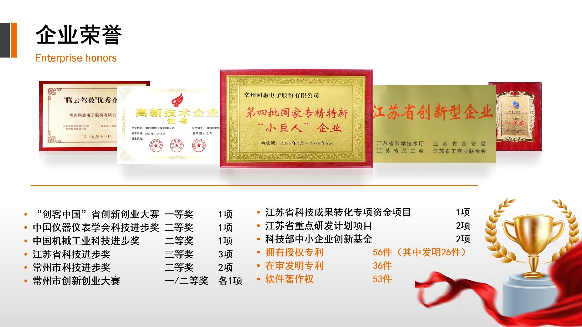 常州同惠电子股份有限公司