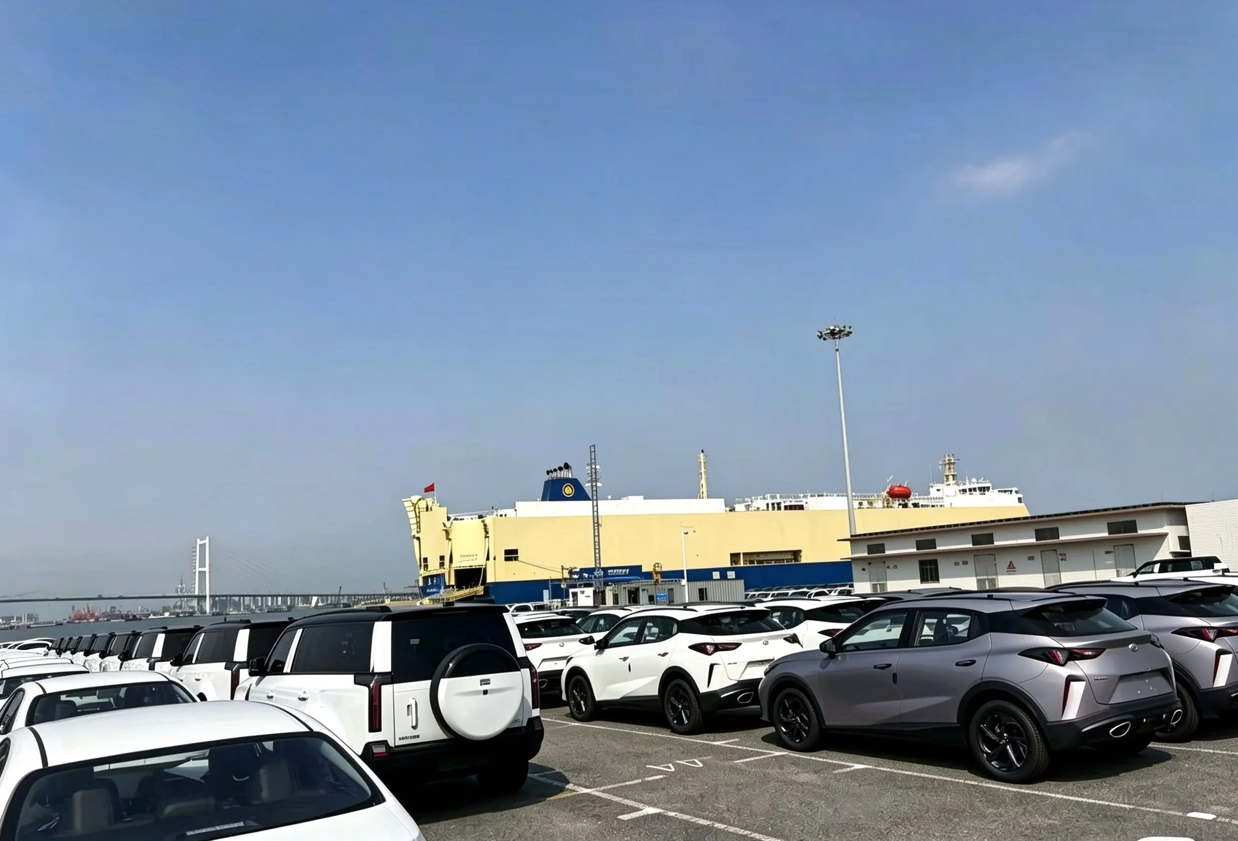 New electric vehicles gathered at port terminal
