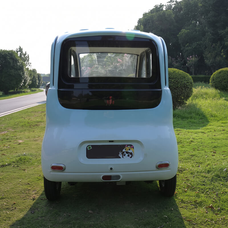 G7 Enclosed Cabin Electric Tricycle, Adult Passenger 3 Wheeler for Family Commute