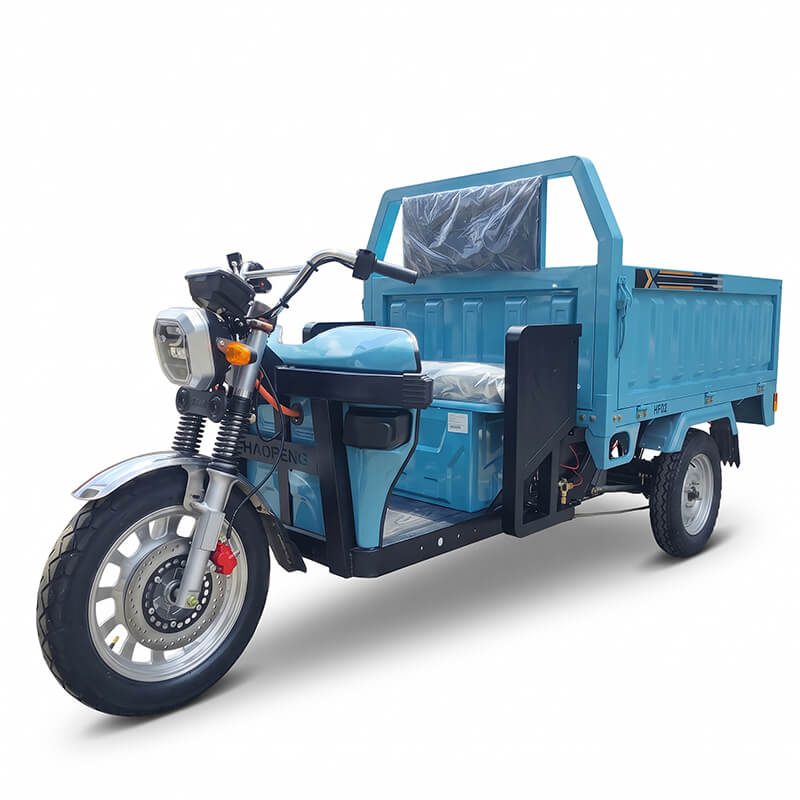 JIA002 EEC The 1.6-Meter Land Patrol Electric Three-Wheeler for Cargo (1500W PMSM, Customizable)