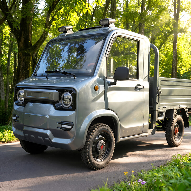 A41 EEC Adult 4-Wheel Electric Cargo Truck, 2000W 72V 100Ah, 800kg Payload Hydraulic Tipper Car
